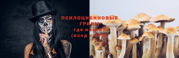 apvp Баксан